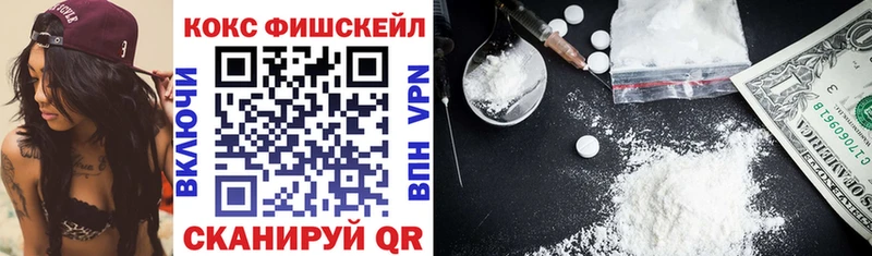 Кокаин Fish Scale  Купить  Кизилюрт 