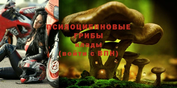 бошки Нефтегорск