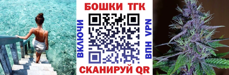 Купить  Кизилюрт  Бошки Шишки ГИДРОПОН 